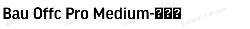 Bau Offc Pro Medium字体转换